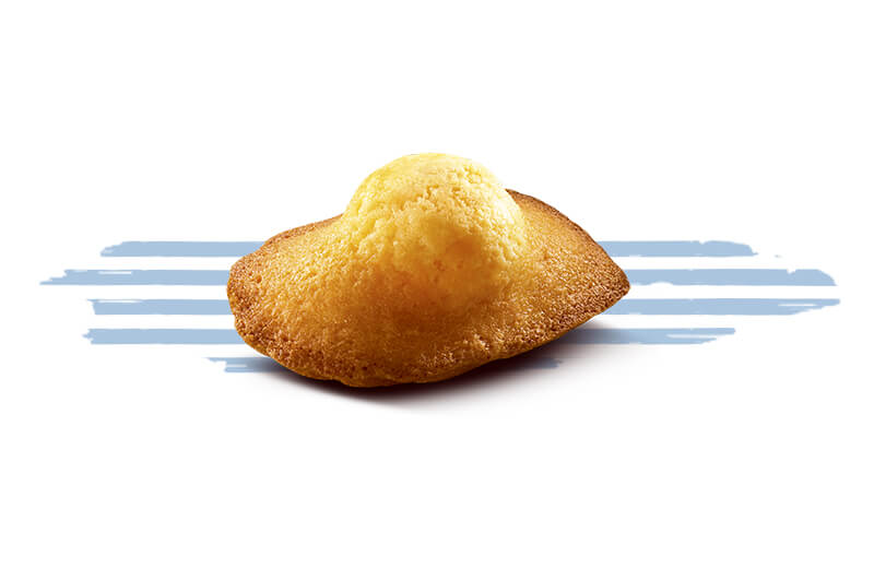 Madeleine Pur Beurre